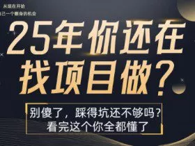 25年，你还在疯狂的找项目吗？别傻了，看完这个你都懂了【揭秘】