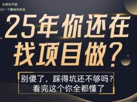 25年，你还在疯狂的找项目吗？别傻了，看完这个你都懂了【揭秘】