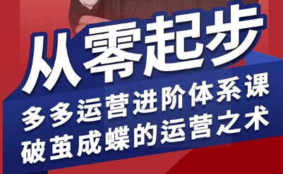 海神·拼多多运营进阶系统课,从零起步,多多运营进阶体系课,破茧成蝶的运营之术