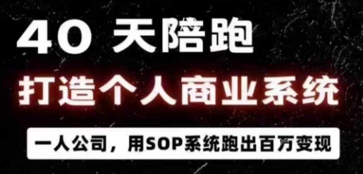40天商业系统陪跑一人公司,用SOP系统跑出百W变现