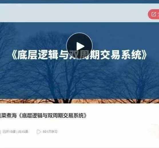 韭菜煮海《底层逻辑与双周期交易系统》音频课