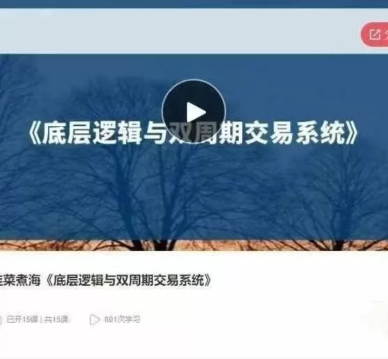 韭菜煮海《底层逻辑与双周期交易系统》音频课