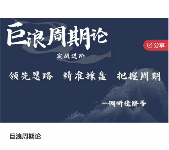 调研佬胖爷-巨浪周期论实战进阶