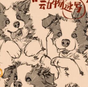 凶猛悍兔动物插画速写课2025【画质高清有笔刷素材】