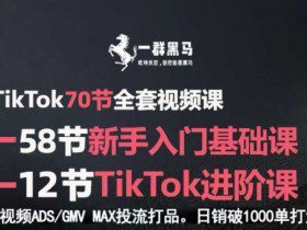 TikTok全套视频课，新手入门+进阶课，短视频ADS-GMV MAX投流打品，日销破1000单打法
