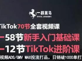 TikTok全套视频课，新手入门+进阶课，短视频ADS-GMV MAX投流打品，日销破1000单打法