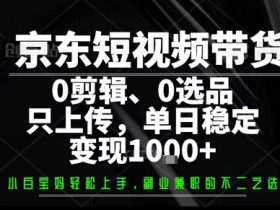 你出账号，我来运营，保底日入1k+，开启躺賺模式【揭秘】