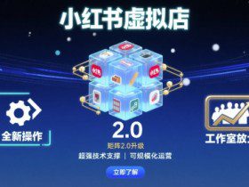 小红书虚拟店矩阵2.0，全新操作，超强技术，可工作室放大
