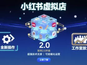 小红书虚拟店矩阵2.0，全新操作，超强技术，可工作室放大