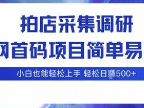 拍店采集调研，全网首码项目，简单易操作， 小白也能轻松上手，多账号操作，轻松日入5张【揭秘】