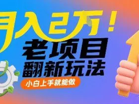 月入2W！老项目翻新玩法，小白上手就能做，非常容易上手