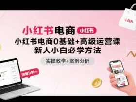小红书电商0基础+高级运营课，新人小白必学方法，实操教学+案例分析