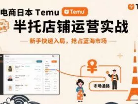 跨境电商日本Temu半托管店铺运营实战，新手快速入局，抢占蓝海市场