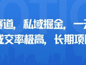 小众赛道，私域掘金，一天多张，成交率极高，长期项目