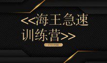 子轩团队《海王急速训练营》