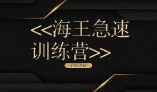 子轩团队《海王急速训练营》