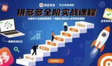 大炮·拼多多全阶实战课程，从新手小白到运营高手，海量实战玩法+全年实时更新【2025年10月更新】