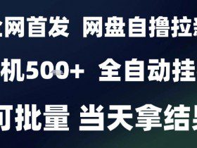 2025最新九月网盘自撸拉新，全自动运行，解放双手，日入5张+，小白可玩，批量操作【揭秘】