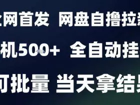 2025最新九月网盘自撸拉新，全自动运行，解放双手，日入5张+，小白可玩，批量操作【揭秘】