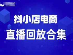 短视频电商：抖小店变现从0到盈利过直播回放