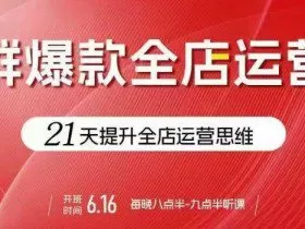 贾真电商群爆款全店运营，21天提升全店运营思维，起店、全店运营爆款不断