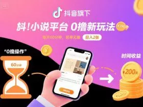 抖音旗下小说平台0撸新玩法，每天挂G60分钟，简单无脑，日入2张【揭秘】