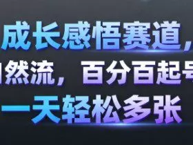 成长感悟赛道，纯自然流，百分百起号率 一天轻松多张