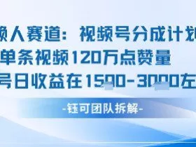 视频号分成计划新赛道玩法，单条收益突破了120W，综合收益在3k上下
