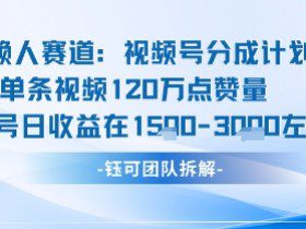 视频号分成计划新赛道玩法，单条收益突破了120W，综合收益在3k上下