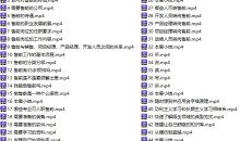 售前解决方案工程师透彻讲解视频课程 初级238元
