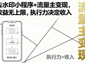 去水印小程序+流量主变现，收益无上限，执行力决定收入
