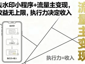 去水印小程序+流量主变现，收益无上限，执行力决定收入