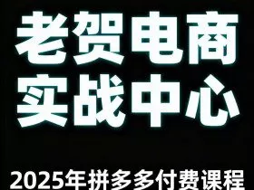 老贺电商2025年拼多多付费课程，用通俗易懂的方法告诉你多多怎么玩