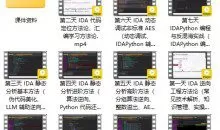 7天打造IDA9.0 大师：从零基础到逆向精英（价值299元）