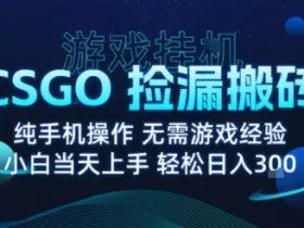 8月最新游戏搬砖，CSGO纯挂G，不需要玩游戏，实现真挂G，月入1W+【揭秘】