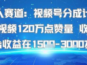 懒人赛道：视频号分成计划单条视频120W点赞量 收益高综合收益在1.5K左右
