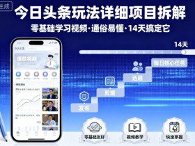 今日头条玩法详细项目拆解，零基础学习视频 通俗易懂 14天搞定它