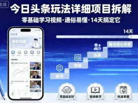 今日头条玩法详细项目拆解，零基础学习视频 通俗易懂 14天搞定它
