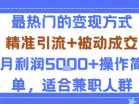 小众赛道玩法：当下最热门的变现方式，精准引流+被动成交月利润5k+操作简单，适合兼职人群