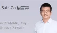 Tony Bai Go语言第一课 大师带路,快速上手Go语言