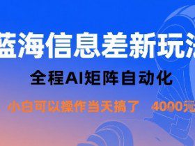 蓝海信息差新玩法，全程AI矩阵自动化小白可以操作当天搞了1k+