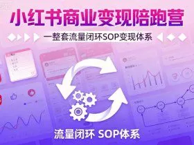 小红书商业变现陪跑营，轻IP矩阵 私域获客 聚光投流，一整套流量闭环SOP变现体系