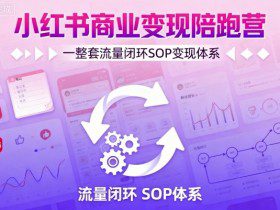 小红书商业变现陪跑营，轻IP矩阵 私域获客 聚光投流，一整套流量闭环SOP变现体系