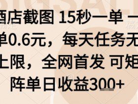 酒店截图项目，15秒一单，一单0.6米，每天任务无上限，全网首发可矩阵单日收益3张+【揭秘】