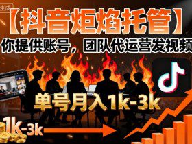 【抖音炬焰托管】你提供账号，团队代运营发视频，单号月入1k+【揭秘】