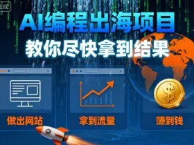 AI编程出海项目，教你尽快拿到结果-做出网站、拿到流量、賺到钱