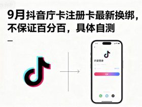 小众蓝海赛道，两性情感复合，简单且暴利，市场需求量大，一单利润5张，未来几年可持续深耕的项目
