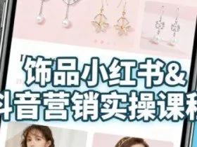 抖音+小红书饰品卖货：货源、开店、内容全教会，让新手快速掌握饰品线上营销全流程，轻松开启变现路