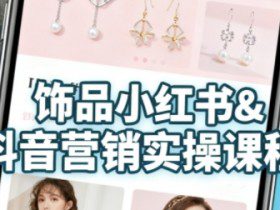 抖音+小红书饰品卖货：货源、开店、内容全教会，让新手快速掌握饰品线上营销全流程，轻松开启变现路