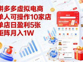 拼多多虚拟电商，单人可操作10家店，单店日盈利5张，矩阵月入1W+【揭秘】